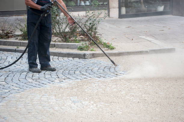 Animal Enclosure Cleaning in Marion, TX